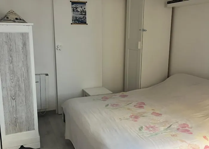 Elegant T2 Coeur De Clim Parking Toulouse